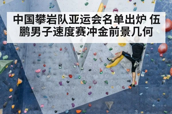 中国攀岩队亚运会名单出炉 伍鹏男子速度赛冲金前景几何