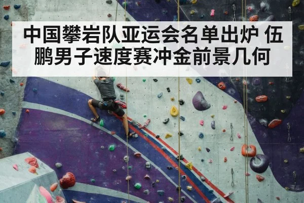 sport climbing competition wall